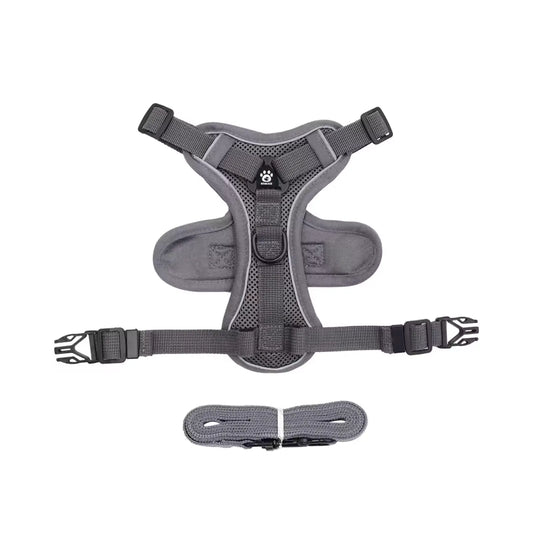 Harnais chat gris compatible utilisation avec collier CatPass